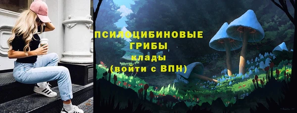 ГАЛЛЮЦИНОГЕННЫЕ ГРИБЫ Алзамай
