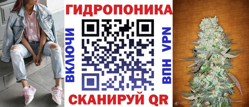 Конопля гибрид  магазин продажи   Костерёво 